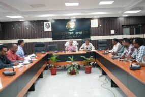कोई भी गांव-टोला विद्युत आपूर्ति से वंचित नहीं रहे, विद्युत कनेक्शन से छूटे गांवों में समयसीमा के भीतर विद्युत कनेक्शन सुनिश्चित करें: उपायु
