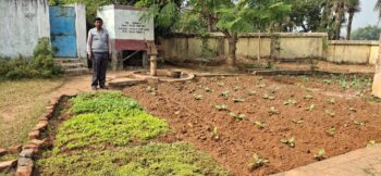 नाला:फांसीडंगाल प्राथमिक विद्यालय की पोषण वाटिका बनी मिसाल, जैविक खेती से बच्चों के भोजन में जुड़ रही ताज़ी सब्जियाँ