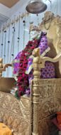 गुरुवार से शुरू हुआ वर्ष 2026, कदमा में साईं महोत्सव धूमधाम से संपन्न