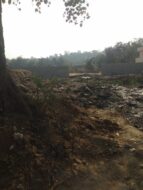 भूमि माफिया–राजनेता–अधिकारी के ‘कॉकटेल’ से धड़ल्ले से बिक रही सरकारी जमीन