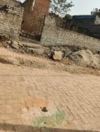 बिरसानगर भूमि अतिक्रमण मामला: माइनिंग अधिकारी व वन विभाग भी हुए सतर्क, जांच समिति गठन की उठी मांग