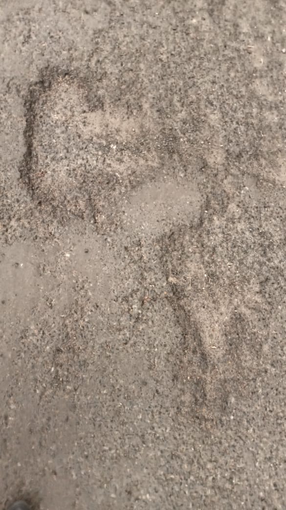 स्थानीय अस्पताल