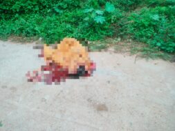 सरायकेला में बालू लदे ट्रैक्टर ने महिला को कुचला, मौत