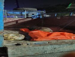 ईटागढ़ जंगल में सड़ी गली लाश मिलने से सनसनी, पुलिस कर रही मामले की जांच