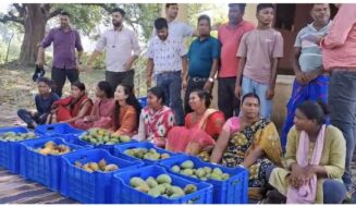बंजर जमीन उगल रही सोना: ‘वादी परियोजना’ से लखपति बन रहे सरायकेला के आदिवासी किसान