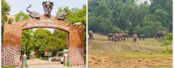 सरायकेला के बनडीह में हाथी का आतंक, सोते परिवार का घर तोड़ा, अनाज किया चट