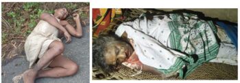 कोल्हान में हाथियों का कहर जारी, चांडिल में महिला की मौत, चाकुलिया में बुजुर्ग गंभीर घायल