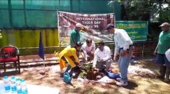 विश्व टाइगर दिवस पर टाटा स्टील जूलॉजिकल पार्क में जागरूकता कार्यक्रम, बच्चों ने किया वृक्षारोपण विश्व टाइगर दिवस