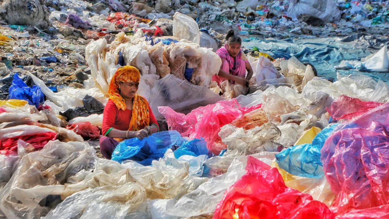 अंतर्राष्ट्रीय प्लास्टिक बैग मुक्त दिवस