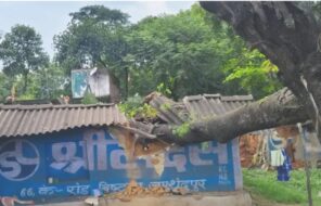 पेड़ गिरने से घर क्षतिग्रस्त, बाल-बाल बचा परिवार