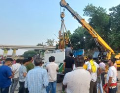 जमशेदपुर में मां दुर्गा की प्रतिमाओं का विसर्जन: श्रद्धा, उत्साह और कड़ी सुरक्षा के बीच विदाई मां दुर्गा की प्रतिमाओं का विसर्जन